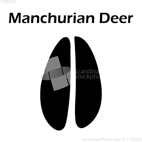 Image of Manchurian Deer Footprint