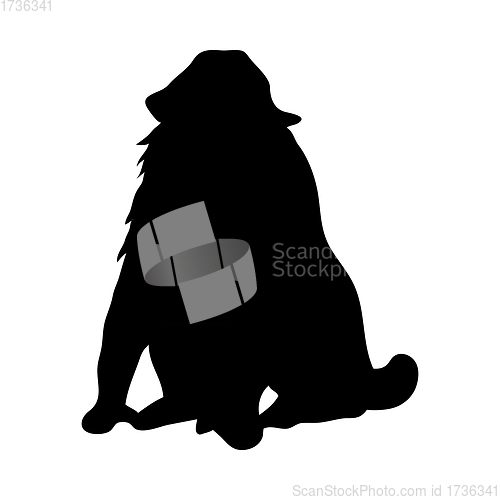 Image of Mandrill Ape Silhouette