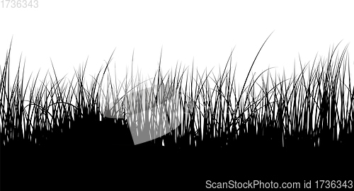 Image of Seamless Meadow Grass