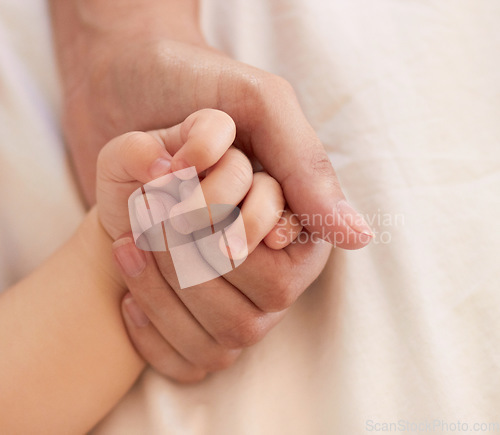 Image of Parent, baby and holding hand for comfort on bed for love, trust or support in bond. Person, infant and caring with touch for child development, growth or health in wellness for quality time together