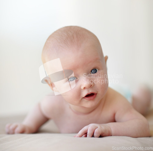 Image of Newborn, baby and portrait on stomach bed in home for healthy childhood development, growth or learning. Infant, kid and face on belly curious interest or search environment, safety or discovery