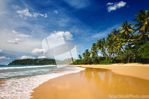 Image of Idyllic beach. Sri Lanka