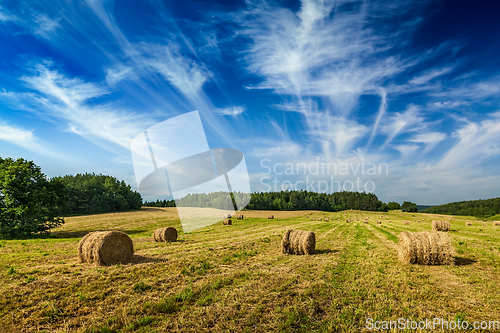 Image of Summer Landscape with Hay Bales on Field