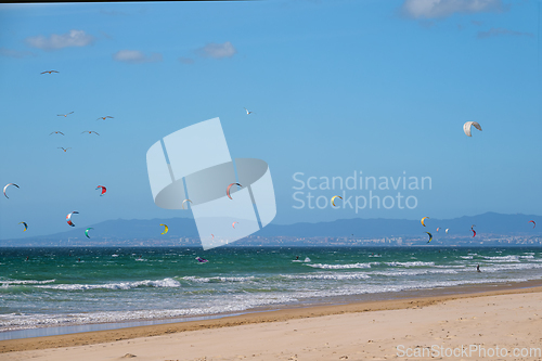 Image of Kiteboarding kitesurfing kiteboarder kitesurfer kites on the ocean beach