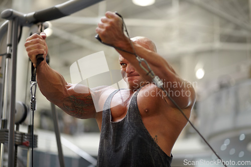 Image of Body builder, strength exercise and man in a gym with power, weightlifting machine and workout. Muscle, strain and strong male athlete with training for bodybuilder fitness and wellness for sport