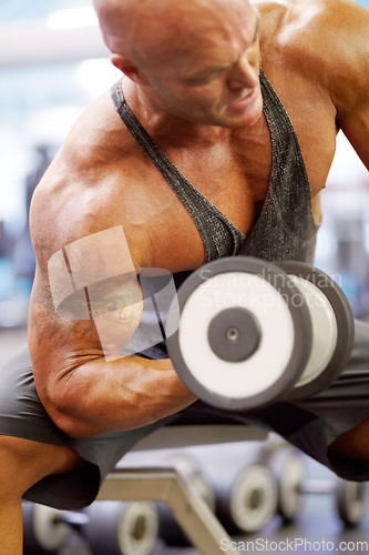 Image of Arm press, man and dumbbell lift for fitness at gym with bodybuilder, cardio and muscle at health club. Wellness, athlete and exercise with weight and strain from bodybuilding, sport and workout