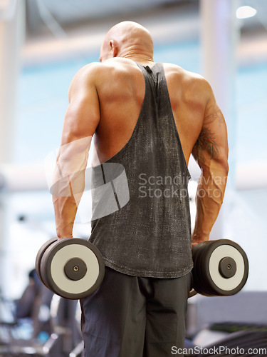 Image of Arm press, man back and dumbbell for fitness at gym with bodybuilder, cardio and muscle at health club. Wellness, athlete and exercise with weight and strain from bodybuilding, sport and workout