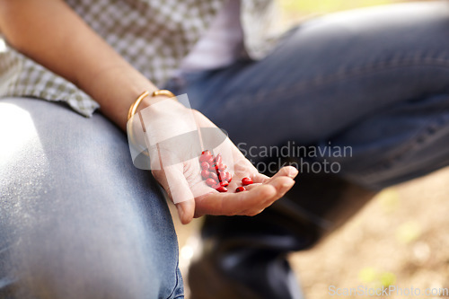 Image of Woman, hand and seeds outdoor for gardening planting, sustainability or growth vegetable. Female person, arm and farming for eco legumes or green agriculture compost dirt, soil for environment hope