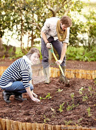 Image of Portrait, woman and plant in soil for vegetable garden with man for natural, organic or fresh produce. People, friends and looking at you for sustainable development, eco farming or growth for future