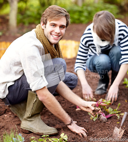Image of Vegetable, plant and portrait of couple gardening together in backyard with a harvest. Farming, growth and people working with beetroot and growing plants for sustainable, organic or vegan food