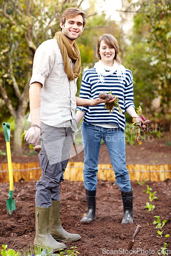 Image of Plant, vegetables and portrait of couple gardening with together with harvest in backyard. Farming, growth and people working with beetroot and growing plants for sustainable, organic or vegan food