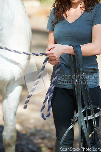 Image of Hands, horse riding or woman in countryside outdoor with rider or jockey for recreation or wellness. Exercise, bridle or closeup of athlete with a healthy animal for training or support on farm