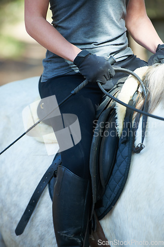 Image of Saddle, horse riding or woman in countryside outdoor with rider or jockey for recreation or wellness. Exercise, hands or closeup of athlete with a healthy pet animal for training or support on farm