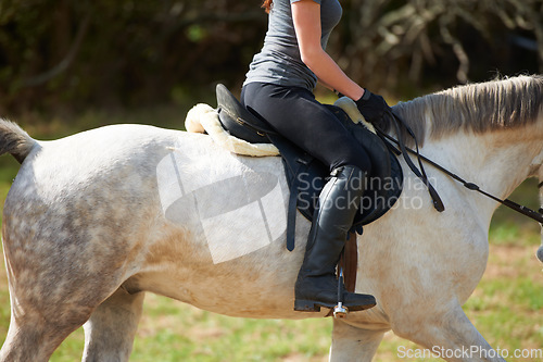 Image of Closeup, horse riding or woman in countryside outdoor with rider or jockey for recreation or wellness. Freedom, saddle or athlete with a healthy pet animal for training, exercise or support on farm