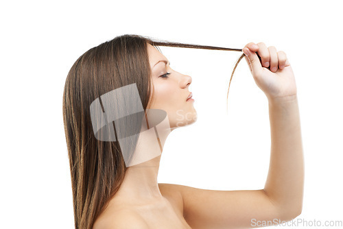 Image of Woman, hand and hair for split end in studio for damage in mock up on white background in Russia. Female model, hold and checking with worry on face for texture, healthy growth or care in side view