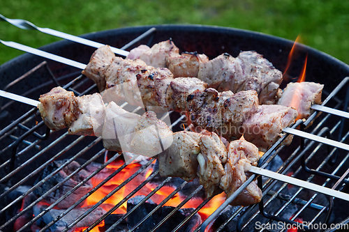 Image of grilled marinated pork meat skewers