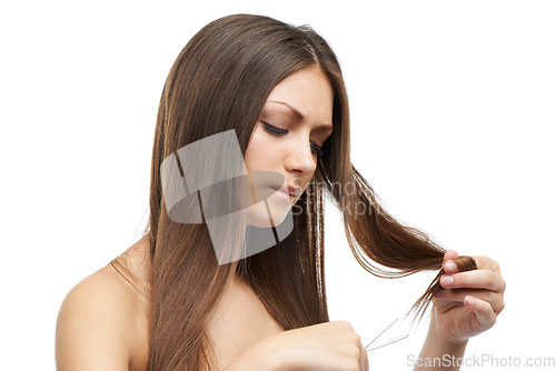 Image of Woman, alone and scissor for hair in studio with mock up for treatment on white background in Russia. Female model, serious or concentration on face for damage, split ends or care for growth in space