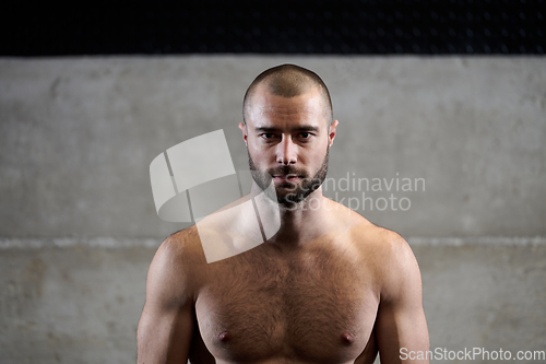 Image of A muscular man poses in the gym, showcasing his strength and dedication to fitness through an impressive physique and glistening sweat on his face.