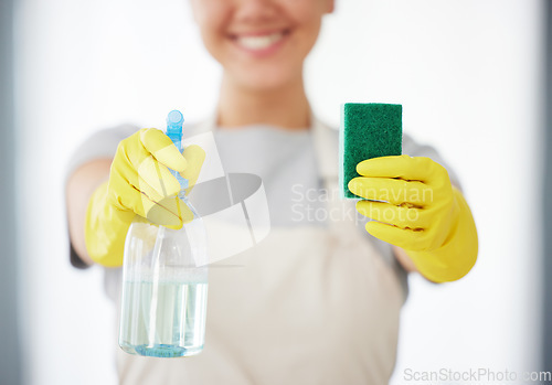 Image of One unrecognizable woman holding a cleaning product and sponge while cleaning her apartment. An unknown domestic cleaner wearing latex cleaning gloves