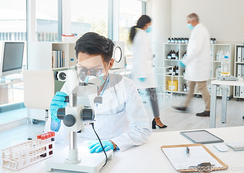 Image of Focused and determined even amongst the hustle and bustle. a young scientist using a microscope while working in a busy lab.