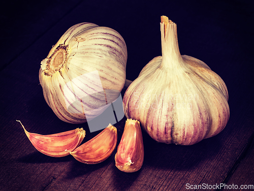 Image of Garlic