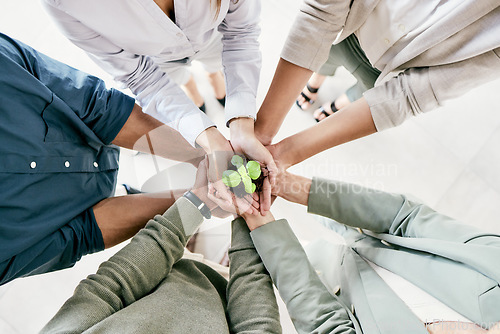 Image of These things take time. a group of unrecognizable businesspeople holing a budding plant while standing in their office.