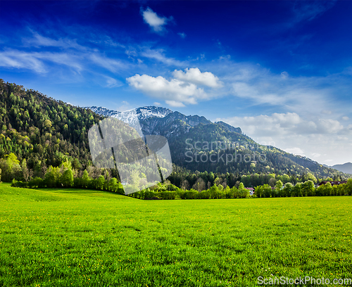 Image of Alpine meadow in Bavaria, Germany