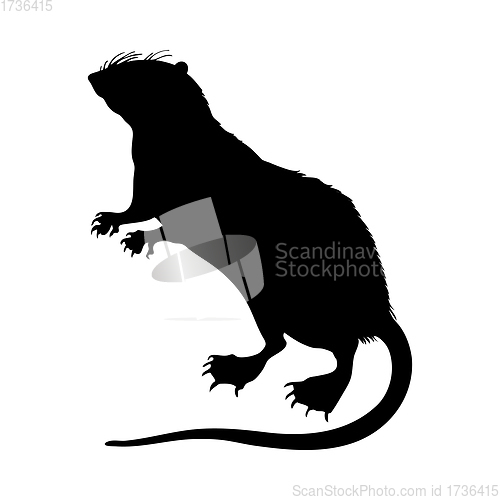 Image of Water Tenrec Silhouette