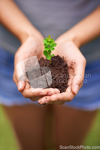 Image of Nurturing young life. a young womans hands holding a seedling.