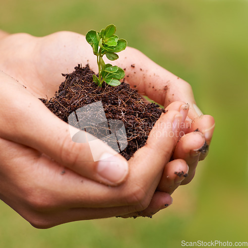 Image of Sprouting potential. a young womans hands holding a seedling.