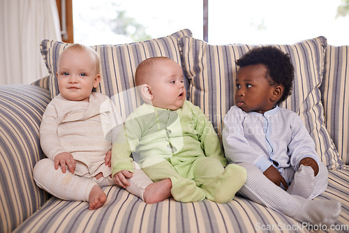 Image of Friends from an early age. three adorable babies sitting on a couch.