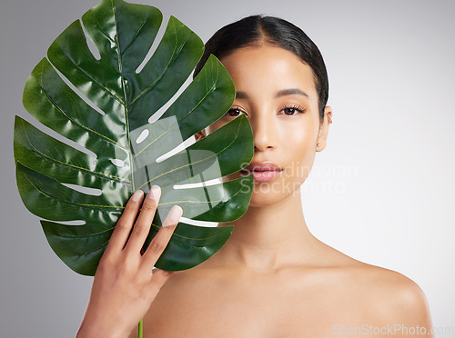 Image of Studio portrait of a beautiful mixed race woman posing with an exotic leaf. Young hispanic using an organic skincare treatment against a grey copyspace background