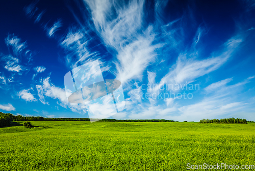 Image of Spring summer green field scenery lanscape