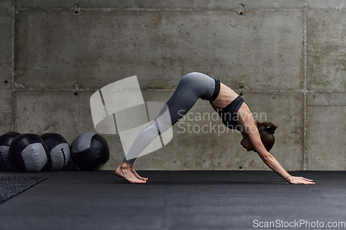 Image of Fit woman in a modern gym working flexibility and strength through various exercises, demonstrating her commitment to fitness