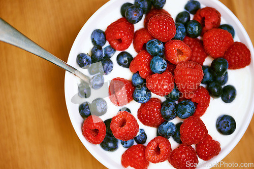 Image of Have a bowl of goodness. High angle shot of a delicious bowl of berries and yoghurt.