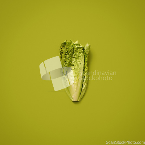 Image of Keep yourself healthy and well fed. a head of lettuce against a studio background.
