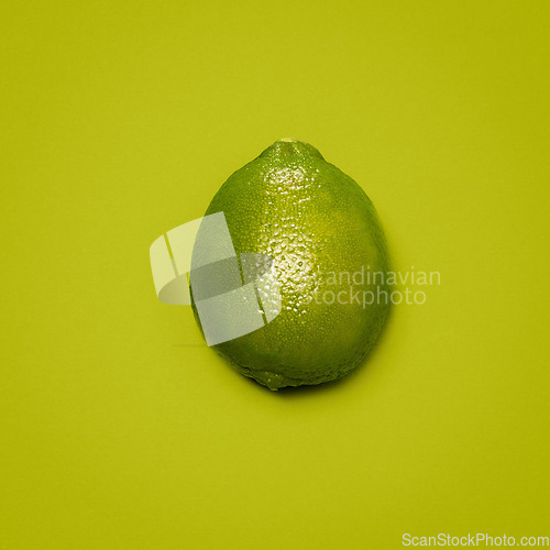 Image of Bringing some zest to life. a lime against a studio background.