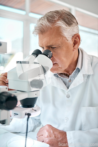 Image of The truth lies under the lens. a senior scientist using a microscope in a lab.