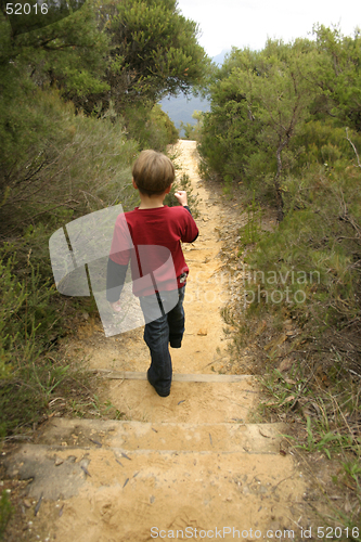 Image of Bushwalking