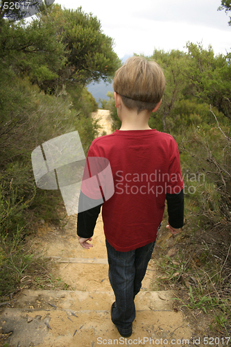 Image of Bushwalking