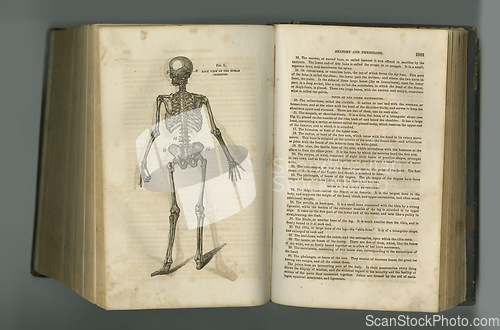 Image of Rustic medical journal. An aged anatomy book with its pages on display.