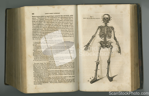 Image of Antique medical journal. An aged anatomy book with its pages on display.