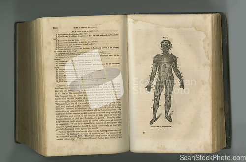 Image of Medical journal. An aged anatomy book with its pages on display.