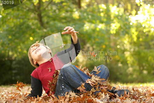 Image of Falling over in the Fall