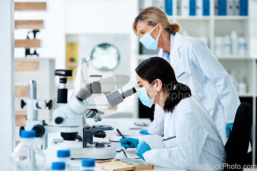 Image of Clinical researchers serve as key players in medical studies. a young scientist working in a lab with her colleague in the background.