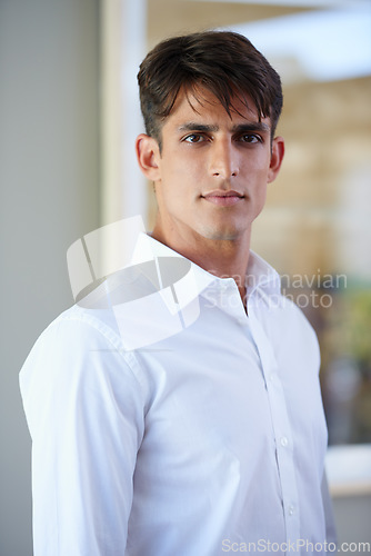 Image of Ive worked too hard to quit now. Portrait of a handsome young businessman standing indoors.