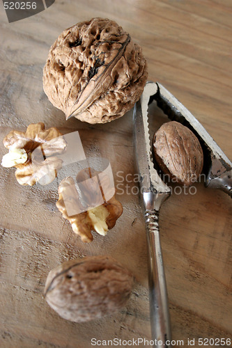 Image of walnuts and nutcracker