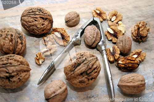 Image of walnuts and nutcracker