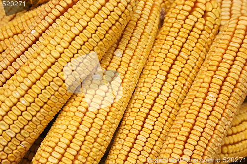 Image of corns