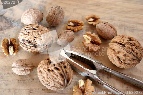 Image of walnuts and nutcracker